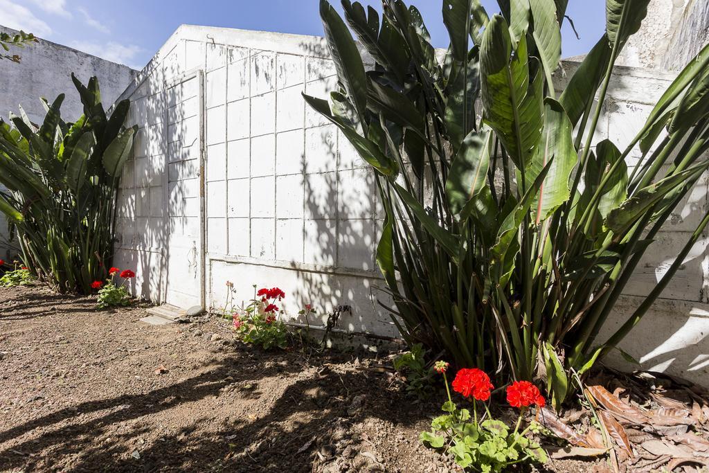Family House Garden Villa Ponta Delgada Oda fotoğraf